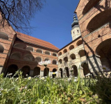 Kostanjevica_na_Krki_25_3