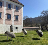 Kostanjevica_na_Krki_25_7